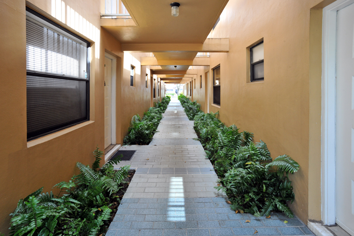 Corridor to enter the apartments with vegetation on the sides